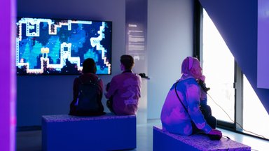 Nuo piratinių diskų – iki meno muziejų: ką šiandien reiškia videožaidimai? 