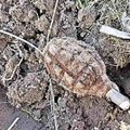 Šiauliečio „šou“ internete baigėsi areštinėje: grasino, kad susprogdins granatą 