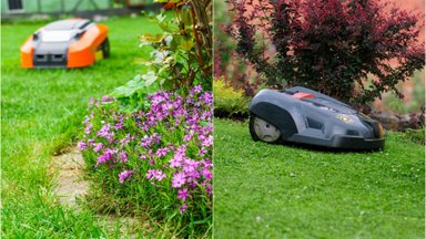 Specialistas atsakė į dažniausius nuogąstavimus renkantis vejos robotą: ne tik pasirūpina dailia veja, bet ir „apkarpo“ invazinius šliužus