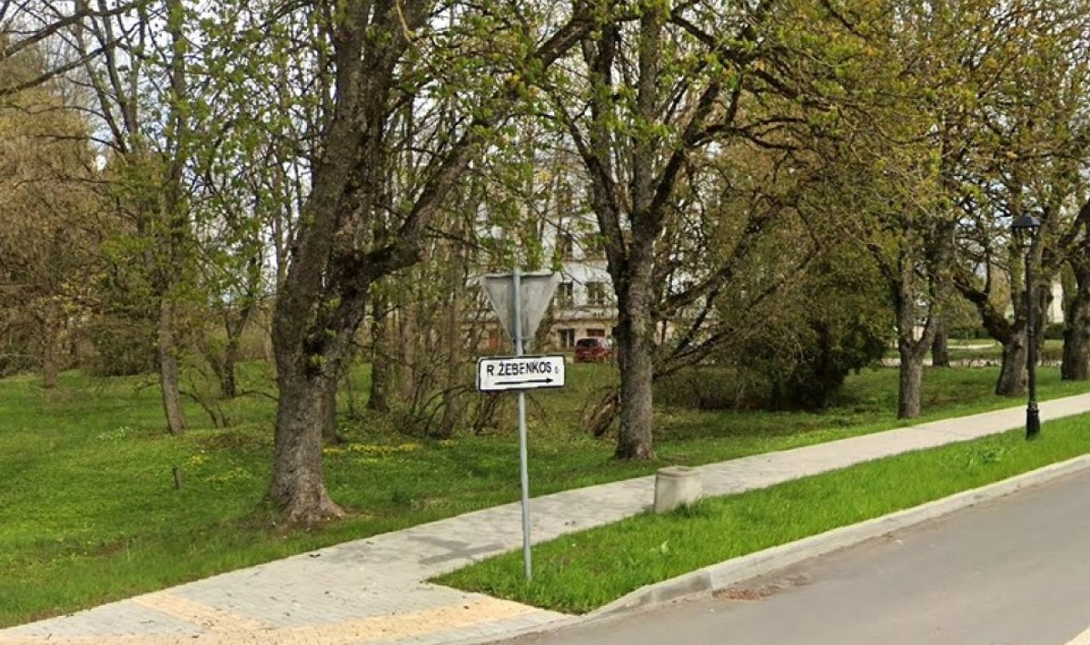 Gyventojų balsas nugalėjo: S. Nėries ir R. Žebenkos gatvių pavadinimai Baisogaloje nesikeis