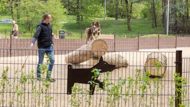 Vingio parke atidaryta didžiulė šunų vedžiojimo aikštelė