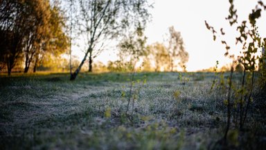 Прогноз синоптиков на выходные: заморозки из Литвы не уйдут